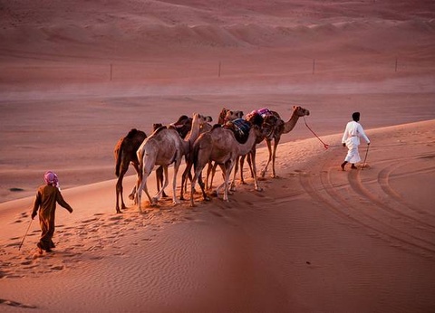 Impressions omanaises - 7