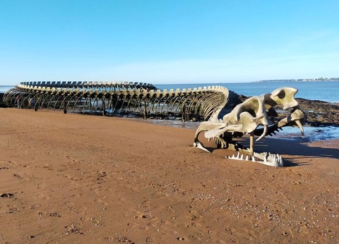 Camping du Vieux Château, 3* - 59