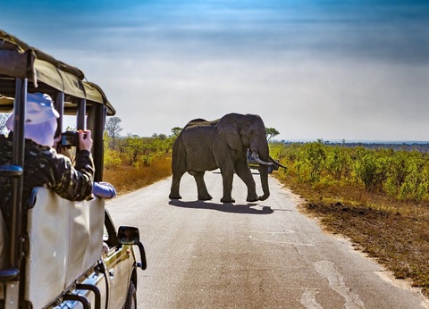 I Love Afrique du Sud & Chutes Victoria - 16J/13N - Du 10/01 au 21/03/26 - 10