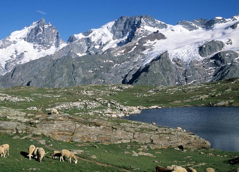 Camping Alpes Dauphine, 4* - 69