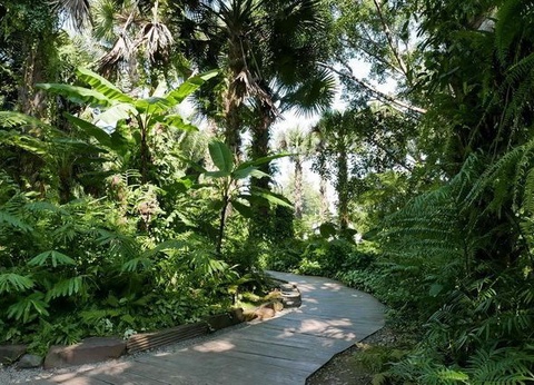 CIRCUIT YUNNAN AUX ORIGINES DU THE - 4