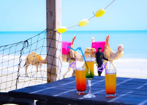 Club Marmara Cedriana 3* - 25