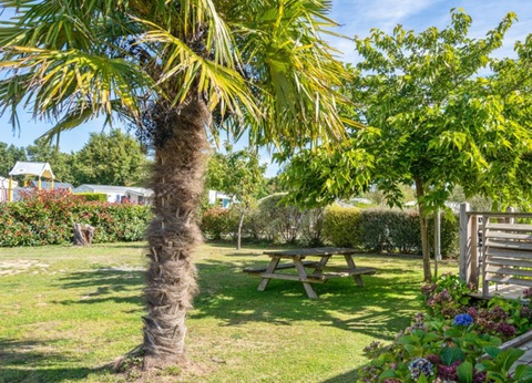 Camping Le Grearn 3* - 36