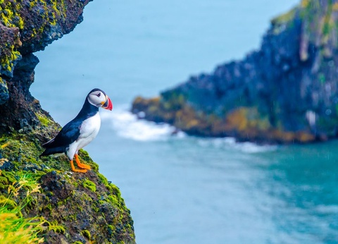 Circuit L'Islande en majesté - 4