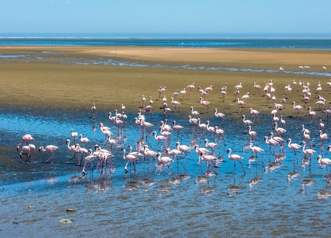 Circuit découverte de la Namibie - 2