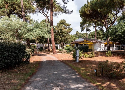 Camping Oléron Saint Tro'Park, 4* - 6