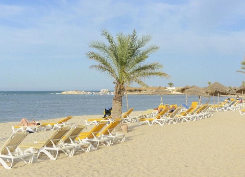 Hôtel Monarque Dar Zahra 3* - 17