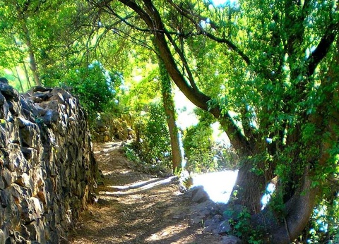 Camping Lago Resort - 21