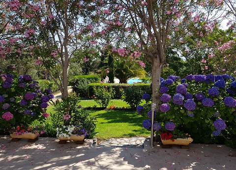 Résidence Casa Oleanda 3* ( avec vols réguliers ) - 18