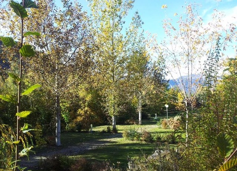 Camping La Pierre de L'Aigle, 3* - 16