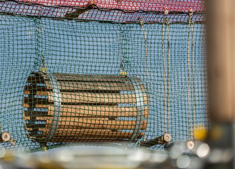 Camping La Tour de France, 3* - 63