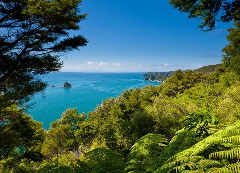 Splendeurs de Nouvelle-Zélande - 8