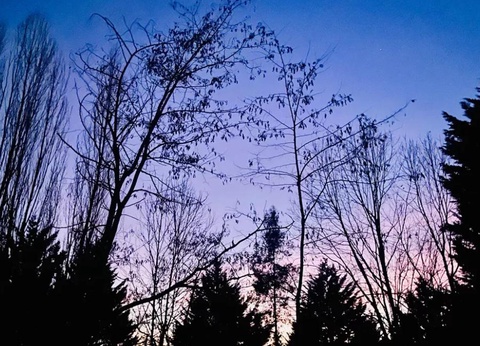 Flower Camping la Pibola, 3* - 11