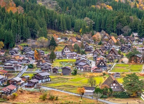 Circuit Traditions et culture du Japon 3* - 11