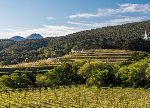 Camping Domaine des Mimosas, 2* - 11