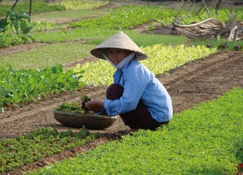 Circuit Trésors du Vietnam & extension Phan Thiet - 17