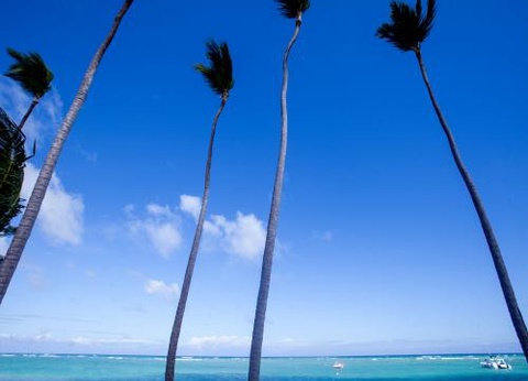 Club Jumbo Vista Sol Punta Cana Beach Resort & Spa 4* - 47