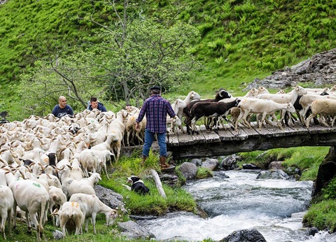 Camping l'Arize, 4* - 38