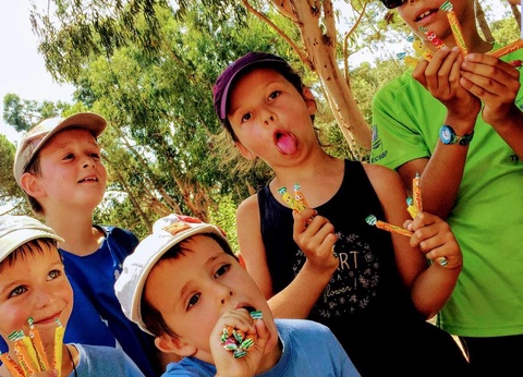 Camping Campo di Liccia, 3* - 82