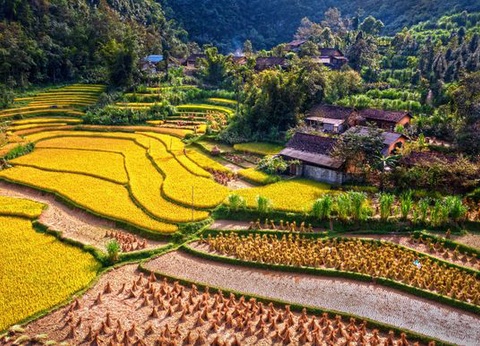 Circuit Splendeurs du Vietnam 12J/9N - 13