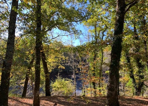 Camping Val de l'Eyre, 4* - 21