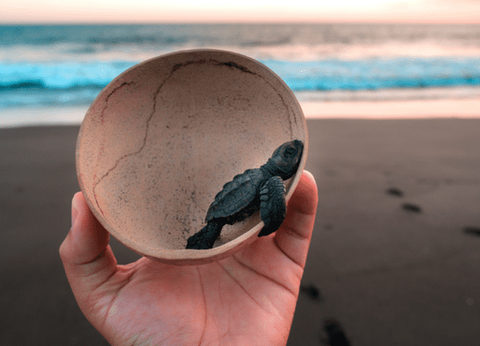 Circuit Chemins Sacrés du Guatemala et du Pacifique - 55