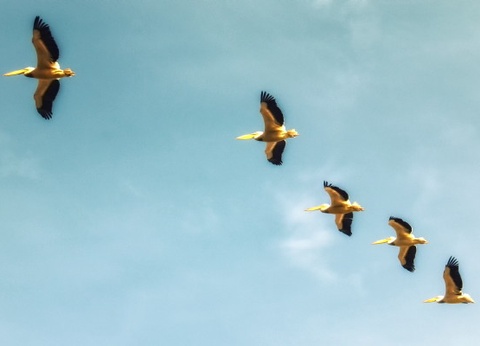 Circuit Les Oasis du Sénégal - 13