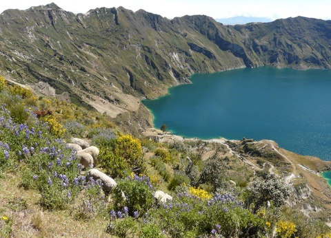 Circuit Sur la Route des Volcans - 10