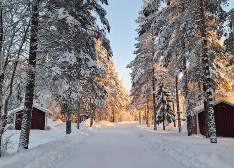 Club Jumbo First Village (activités incluses) - 15