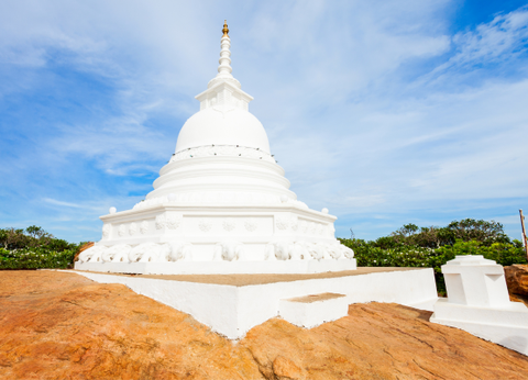 Circuit Lotus du Sri Lanka - 6
