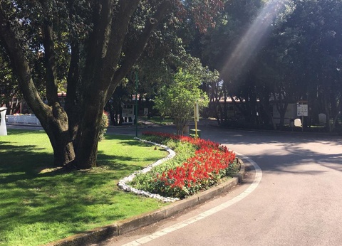 Camping Villaggio Baia Domizia, 4* - 17