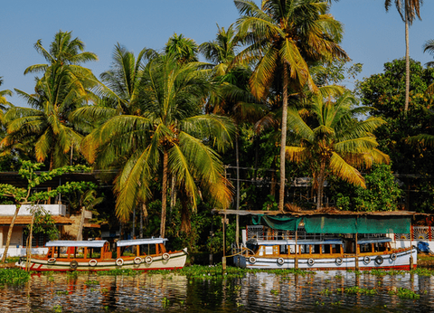 Circuit Charmes de l'Inde du Sud - 22