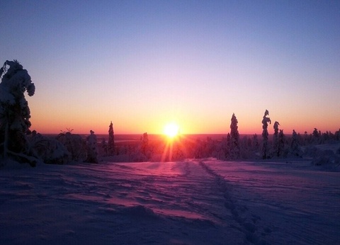 Séjour multi-activités en Laponie Hôtel Hullu Poro - 5