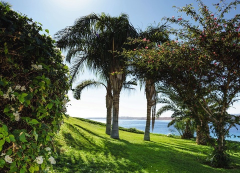 Hôtel Mövenpick Resort Sharm El Sheikh - 102