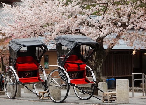 Japon Essentiel + Extension Tokyo - 4