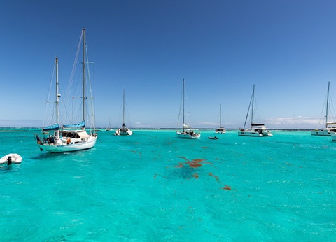 Croisière Passion Grenadines et extension 4 nuits à l'hôtel Karibea Sainte-Luce *** - 17