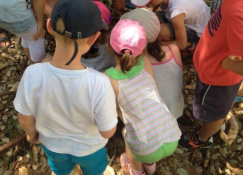 Camping Les Cyprès, 4* - 27