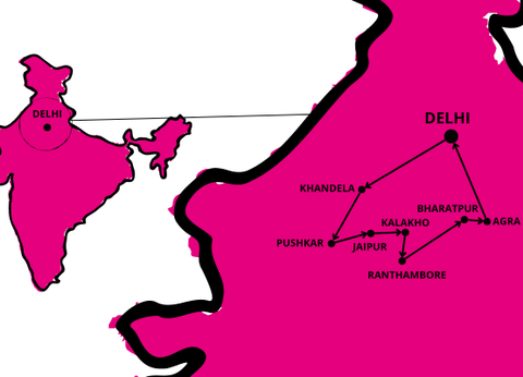 Circuit Le livre de la Jungle, entre oiseaux et tigres, en privatif - 22