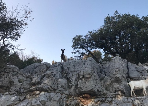 Camping Domaine Des Blachas, 4* - 70