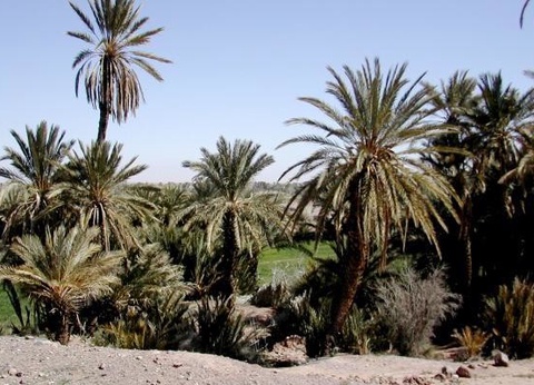 Combiné circuit et hôtel Boucles Sahariennes en 4x4 et extension Framissima Les Idrissides **** - 5