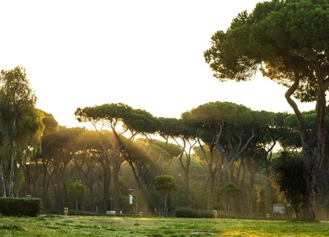 Camping Roma Capitol, 4* - 155