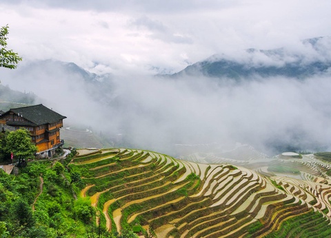 Circuit Rêve de Chine : aventure entre Grande Muraille et collines de thé 4* sup - 14