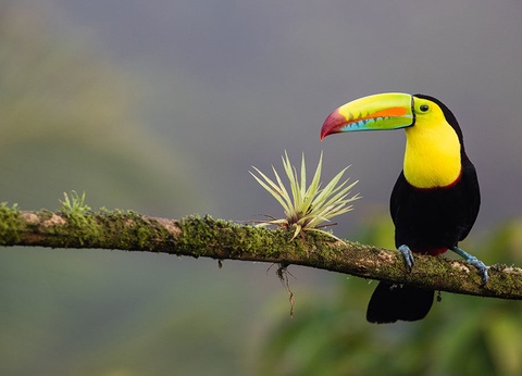 Séjour Costa Rica : Évasion sur la Côte Pacifique - 4