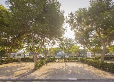 Camping Alannia Guardamar, 5* - 31