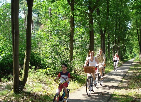 Camping Les Amandiers 4* - 30