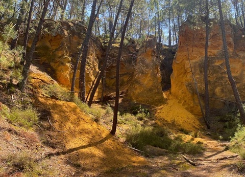 Camping Domaine des Chênes Blancs Pausado, 3* - 25