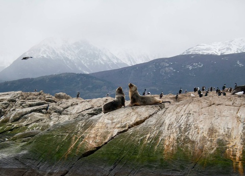 Circuit Le grand tour argentin : des Andes à la Patagonie - 5