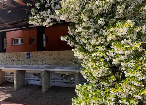 Camping La Provençale, 4* - 28