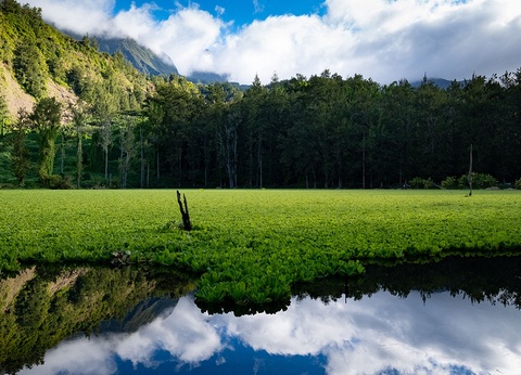 Autotour Les Essentiels de la Réunion - 12