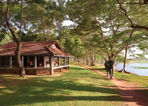 Circuit L'odyssée sri lankaise : l'île aux mille visages - 11